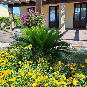 Is Solinas Masainas
